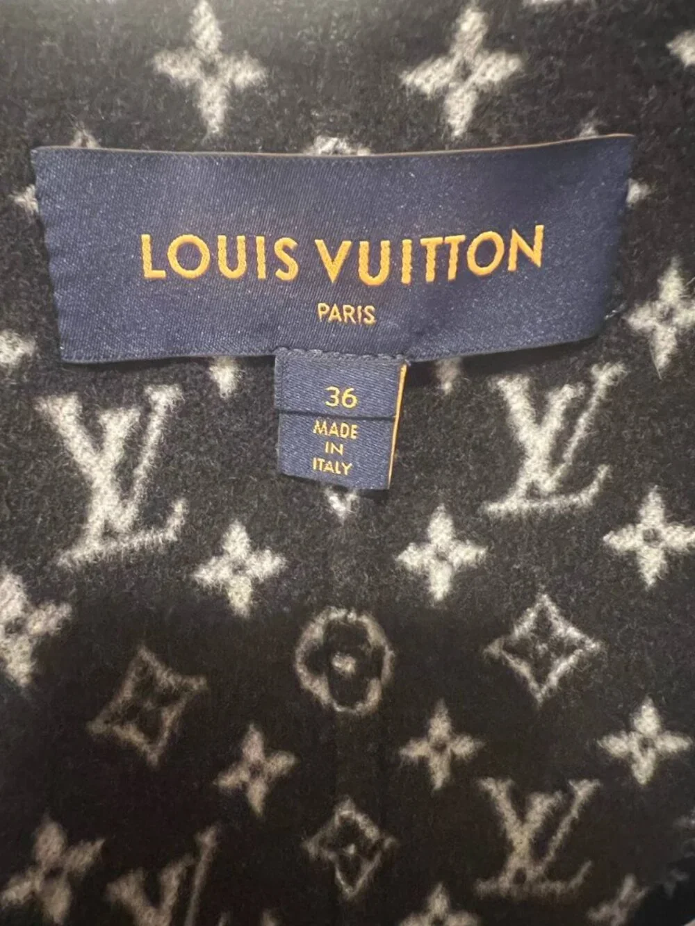 Louis Vuitton Monogram Hooded Wool Coat